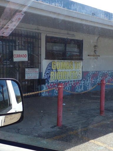Tavares Bike Shop