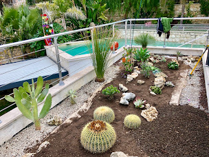 Photo n°3 de Scotto Paysages à Nice (Architecte paysagiste)