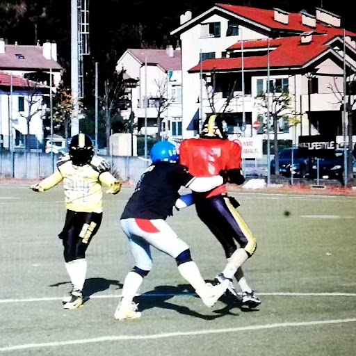 Pirates Field - Visual