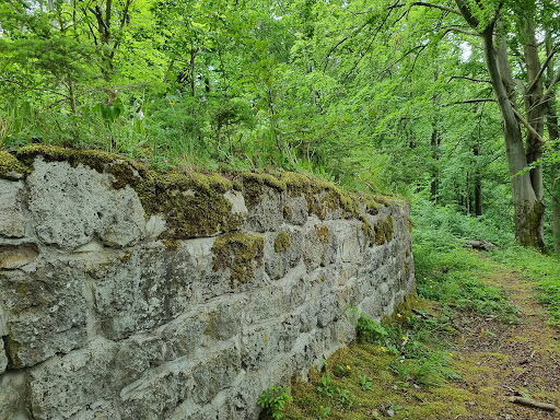 Raubschloss (Gräfenroda) - Visual
