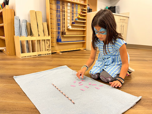 Growing Seeds Montessori School - United States