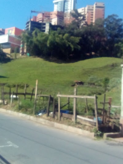 Photos of cancha san joaquin