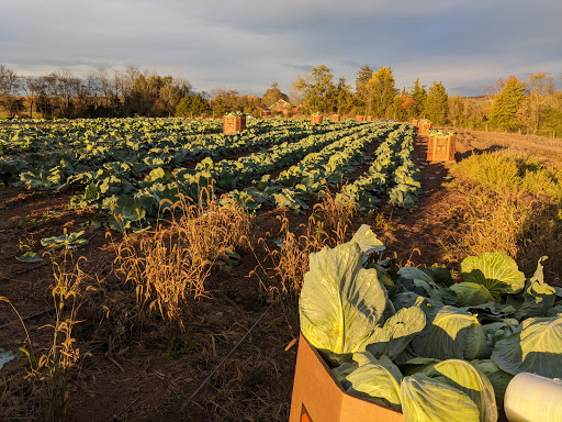 America's Grow-A-Row - Thumbnail