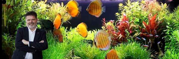 Tildinfisk.dk (Webshop)