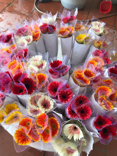 Đại Lý Hoa Tươi Hải Hiền - Tiệm hoa tại Huyện Mê Linh, Hà Nội