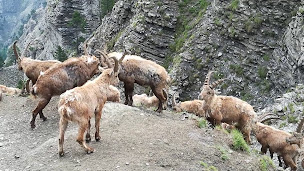 Photo n°2 de Trièves Nature et Montagne à Saint-Martin-de-Clelles (Association ou organisation)