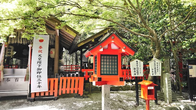 Arashiyama Bamboo Grove