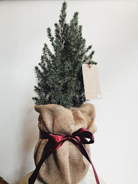 Gia and the Blooms - Findlay Market by null