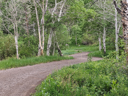 Mesa Creek Campground - Thumbnail