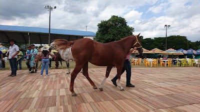 Photos of parque tilo