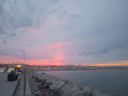 Marina de València - Thumbnail