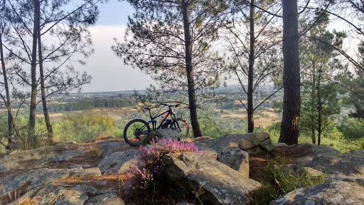 Bici A Punto - Thumbnail