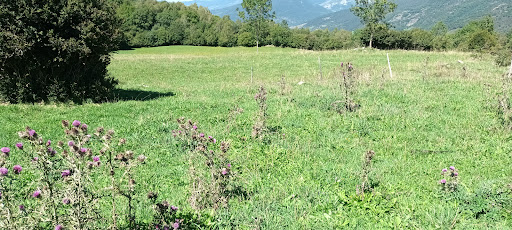 Estany d'en Roca - Thumbnail