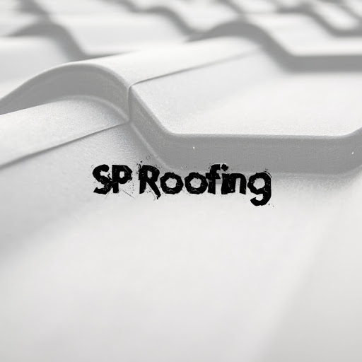 SP Roofing - Visual