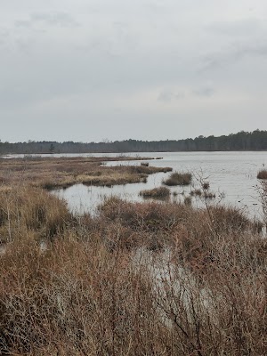 Mt Misery - Image 4