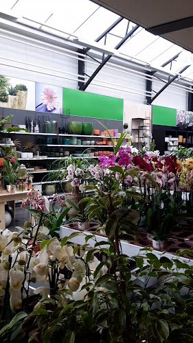Beoordelingen van Tuincentrum Luyckx in Waver - Tuincentrum