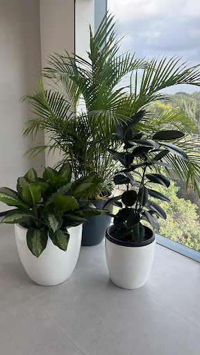 Gallery image 1