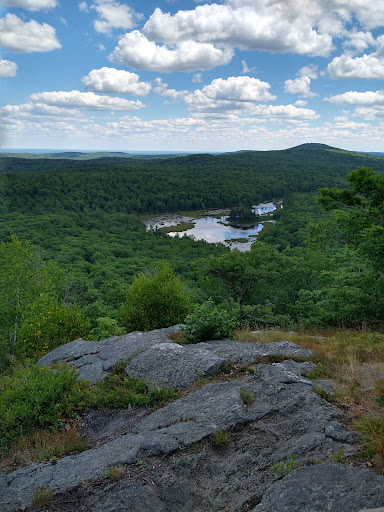 Pratt Mountain Summit Logo