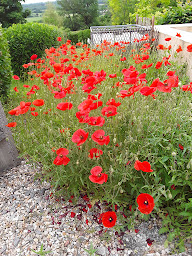 Photo n°14 de Londinium à Chavin (Chambre d'hôtes)