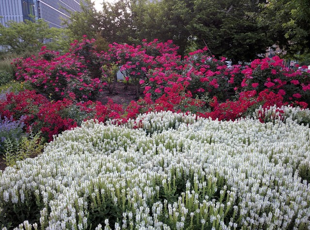 Hudson River Park Tennis Courts