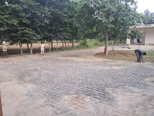 Gallery image 3