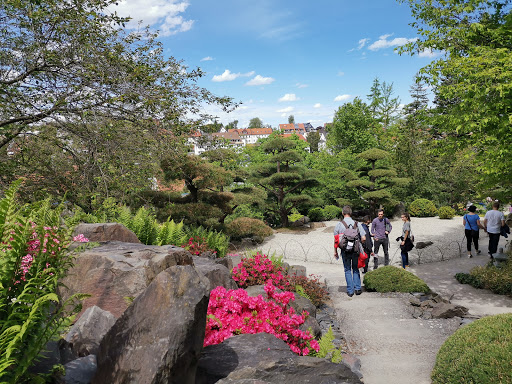 Japanischer Fels- und Wassergarten im egapark Erfurt