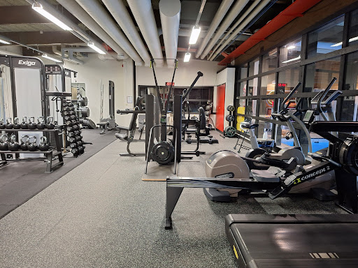 Futurum Sim & Sport