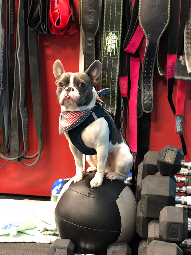 Foreverfit4u LLC Gallery - United States