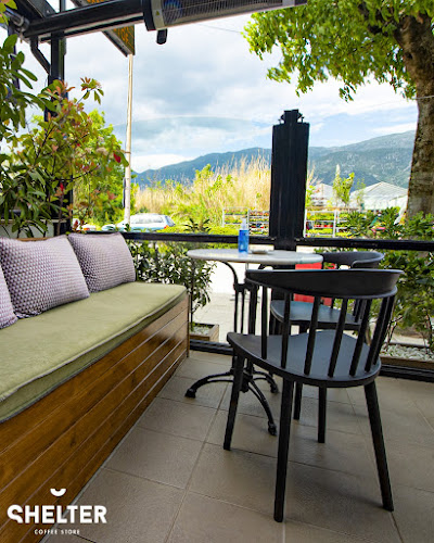 Shelter Coffee Store