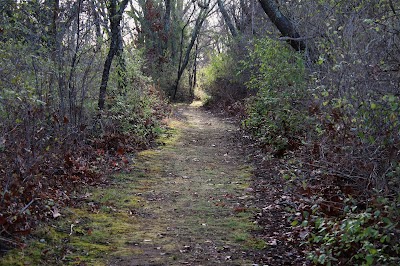 Doug Rayner Wildlife Refuge