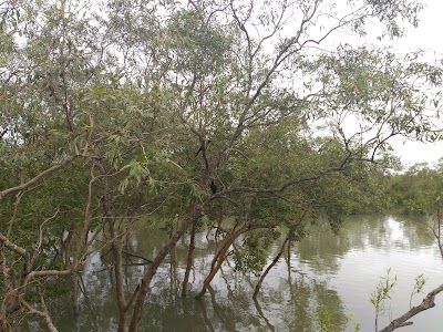 Photos of Kastura Ghat