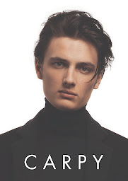 Photo n°7 de Carpy Coiffeur Coloriste Aveda à Bordeaux (Salon de coiffure)