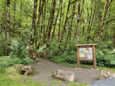 Bloom Lake Trail