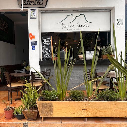 Tierra Linda Café Gallery - Mexico