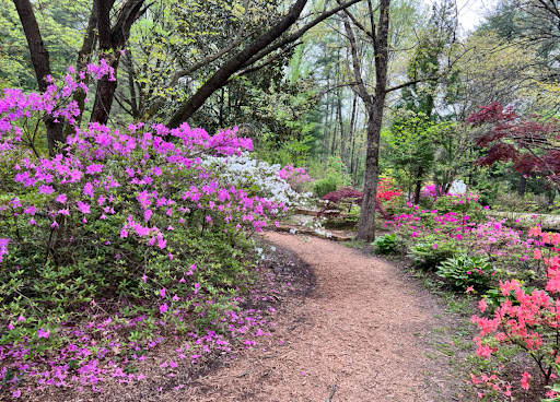 Azalea Path - Visual
