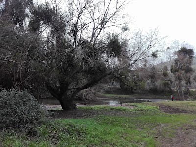 Photos of Melipilla waterfall Bkn