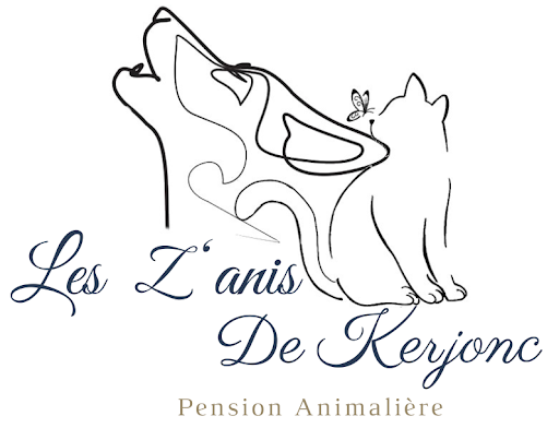Les Z'anis de Kerjonc - Thumbnail