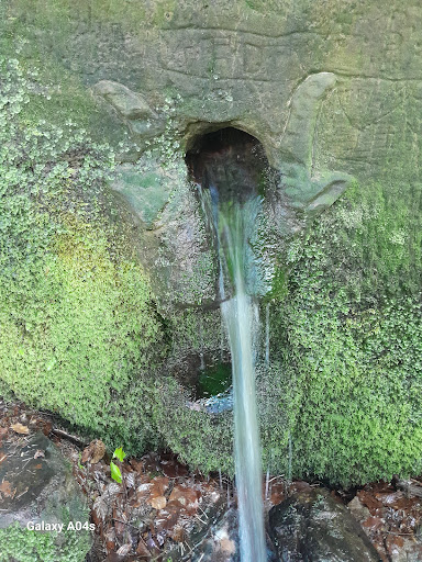 Fontaine du Boeuf - Thumbnail