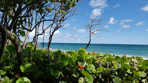 Deerfield Beachfront Park Gallery - United States
