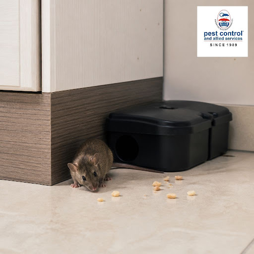 Unwanted rats and mice at your home, shop, warehouse or office? Pest Control and Allied Services… post image