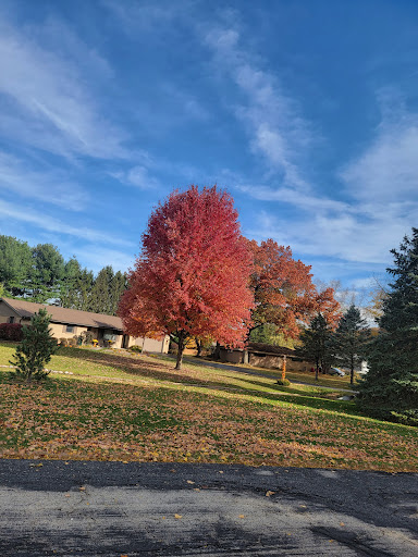 Fairground Park - Visual