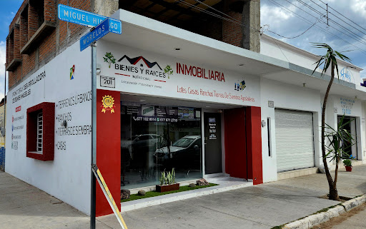 Bienes y Raíces Nuevo Ideal Gallery - Mexico
