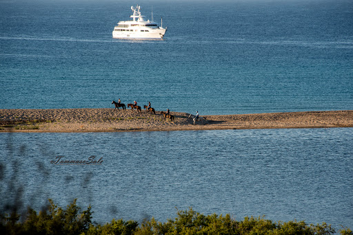 Edora Equitours Mare