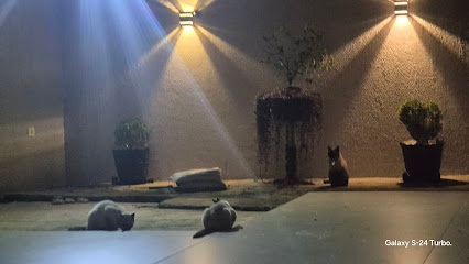 Quiro Life Quiropraxia MS.