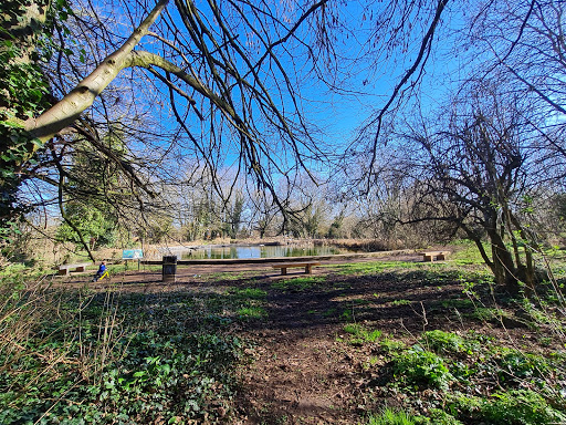 Spindleberry Nature Park Gallery - United Kingdom