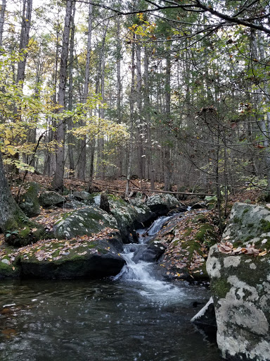 Catamount State Forest - Visual