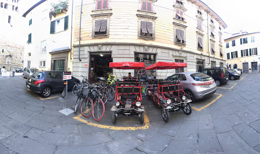 Pro Classic Cycle - Visual