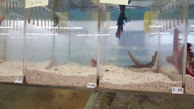 Global Aquatics Tropical Fish & Pet Supplies