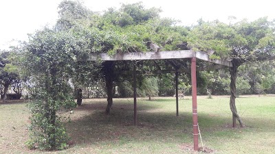 Photos of Momentos
