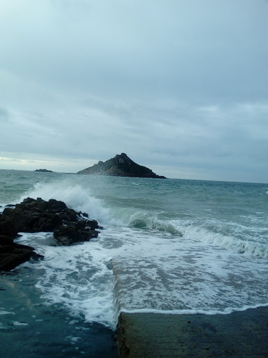 Pinton - Visual